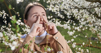allergie