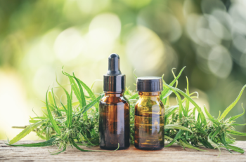 cannabidiol